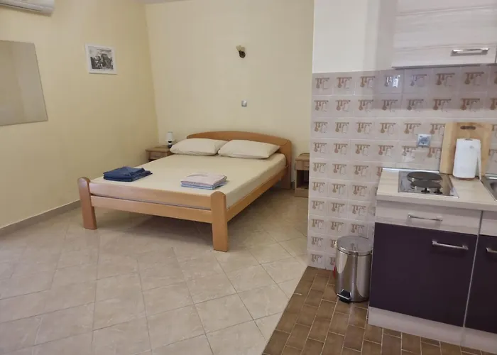 公寓 Eljka - With Terrace With Sea View 6 *